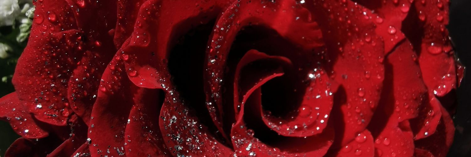 ghost2557's profile banner image