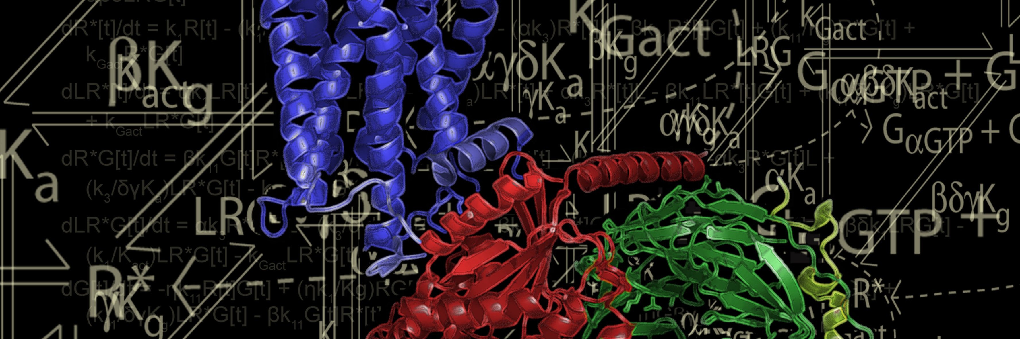 Dr. Tamara Kinzer-Ursem banner