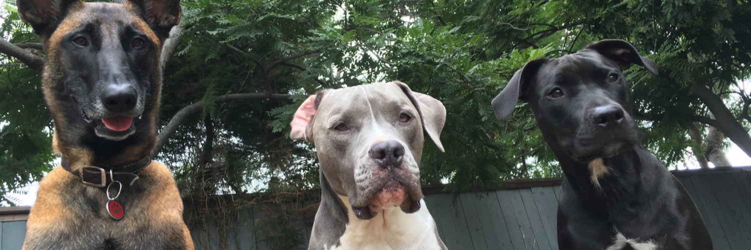 ConsciousK9's profile banner image