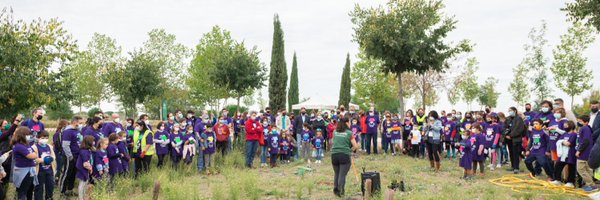 AlcalaVerde1 Profile Banner