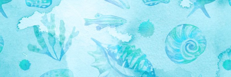 sandra_279's profile banner image
