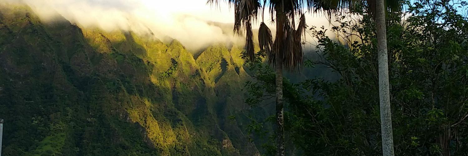 blastithawaii's profile banner image