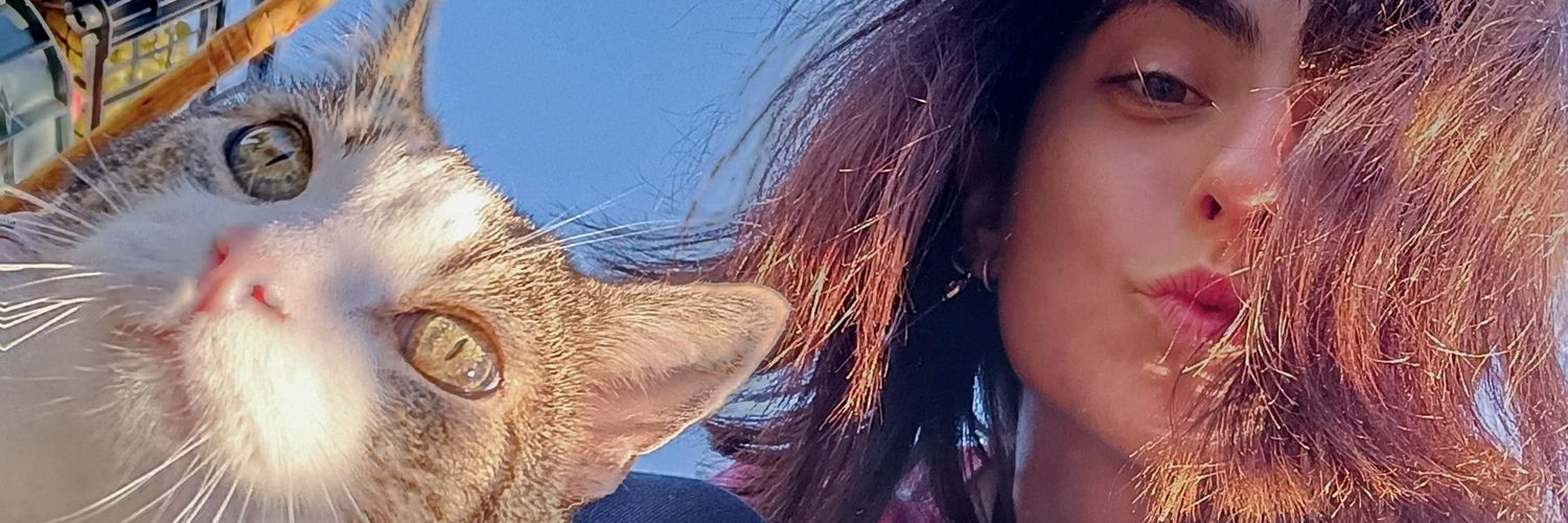 misssshei's profile banner image