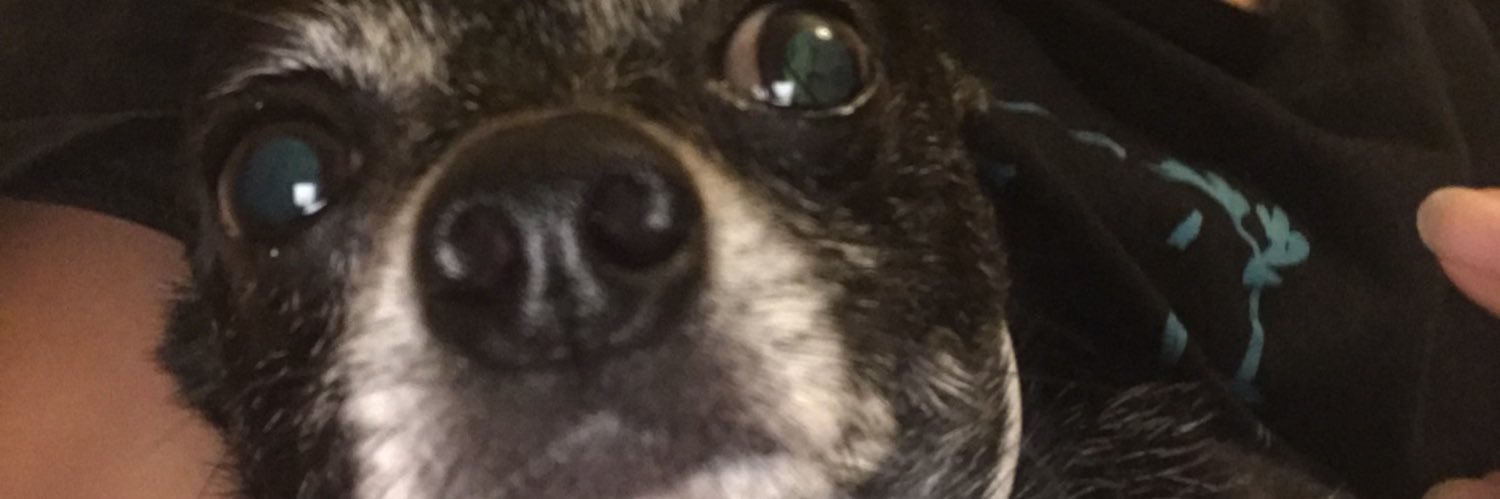 avelinm's profile banner image