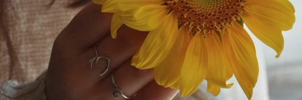 AlTolip3 Profile Banner