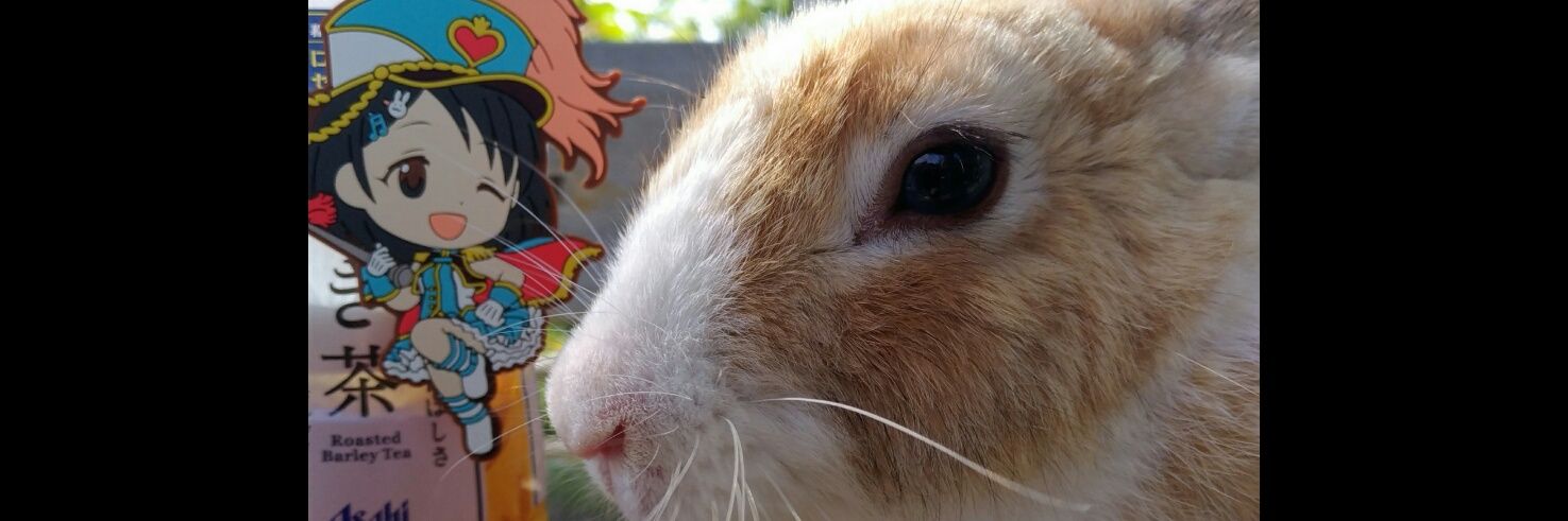 ウホウホドンキー's banner