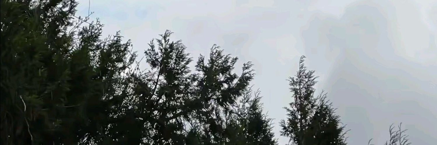 iC0i_'s profile banner image