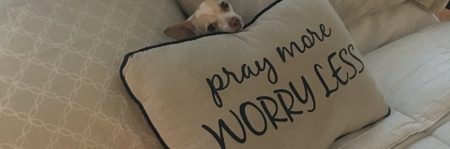 JessiMcClellan's profile banner image