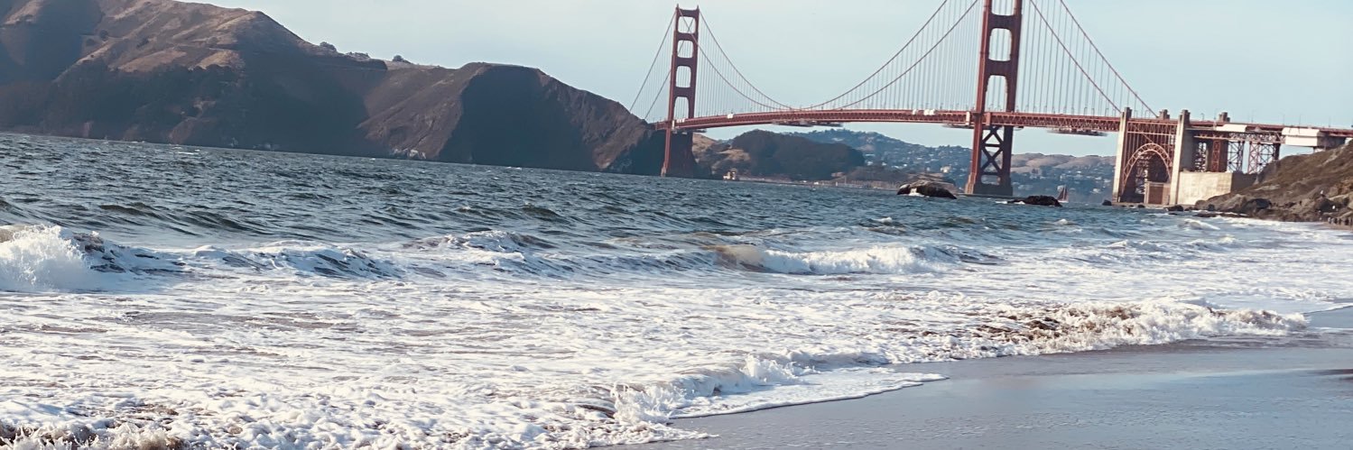 LizLizzwem's profile banner image