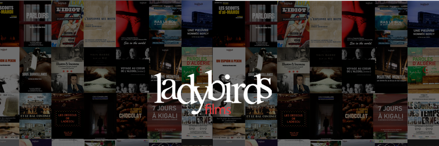 LadybirdsFilms's profile banner image