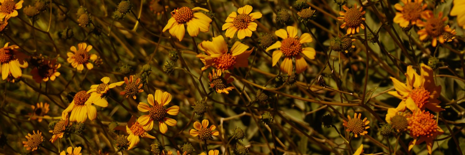 PixByBob's profile banner image