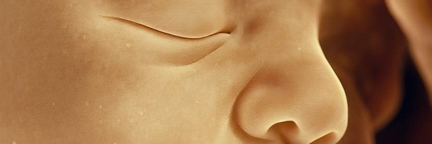 massucas's profile banner image