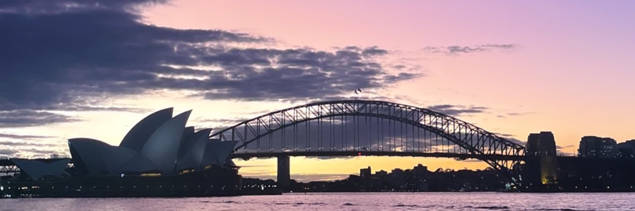 dfhvsc's profile banner image