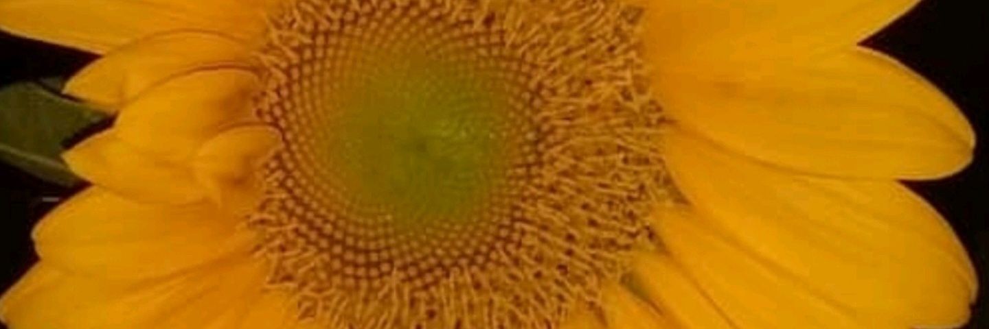 ignaciadc's profile banner image