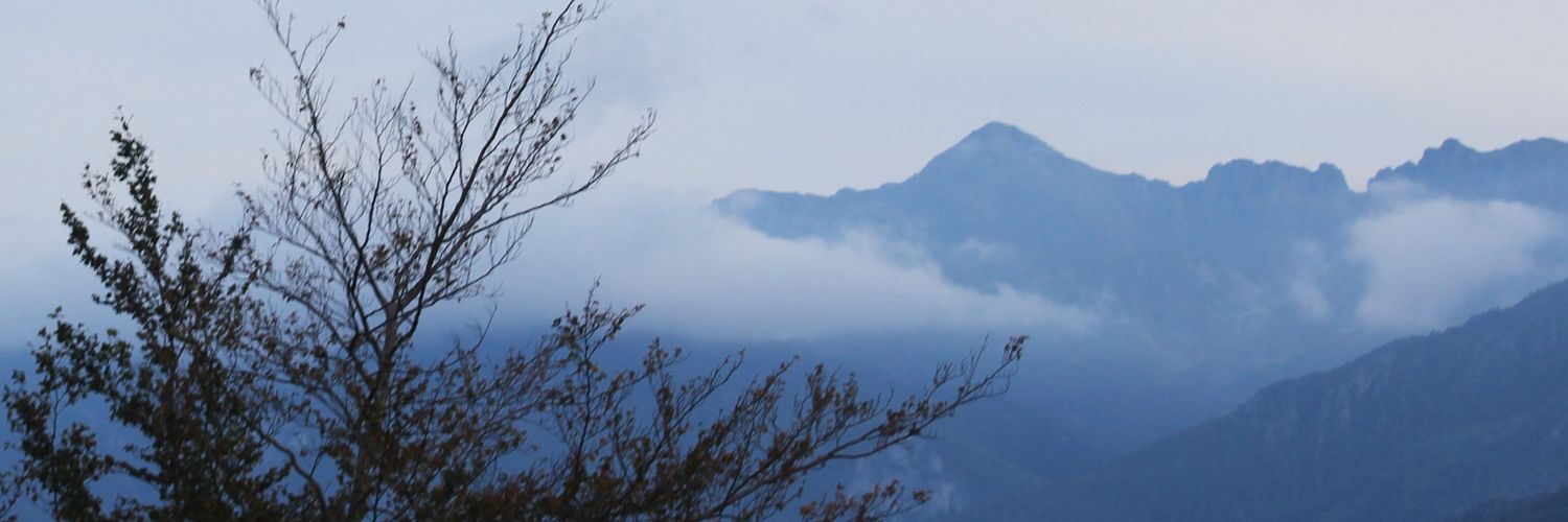 Ester García banner