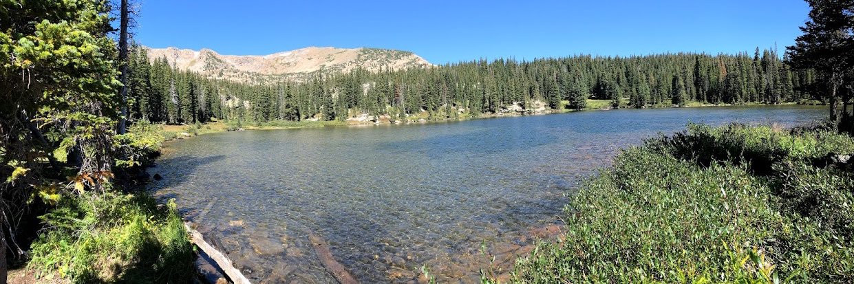 Colorado Pulmonary and Critical Care Fellows banner