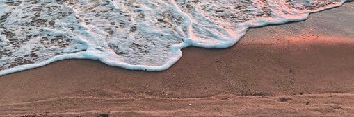 𝐌. banner