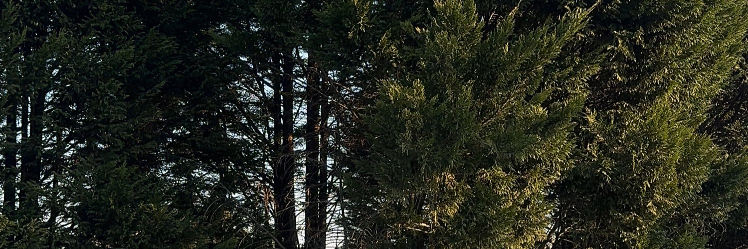 Lulama.k's banner