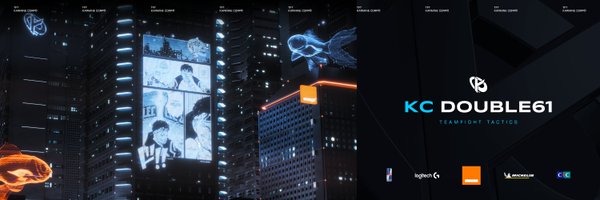 TrainerDouble Profile Banner
