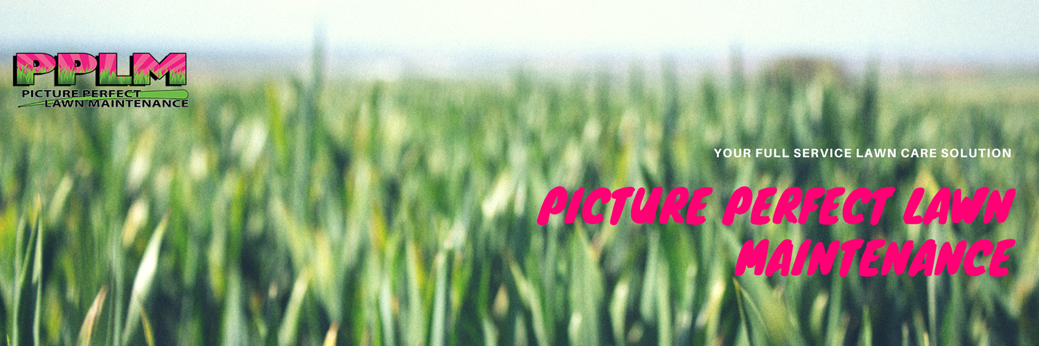 Picture Perfect Lawn banner