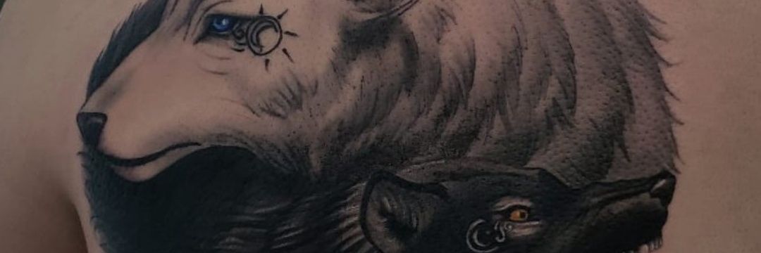 GrahMarques's profile banner image