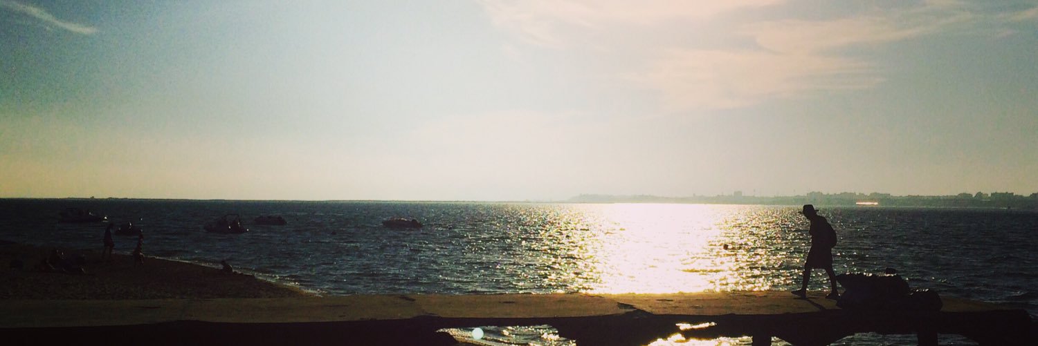 Rowsheeen's profile banner image