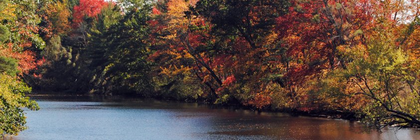 A1OConnor's profile banner image