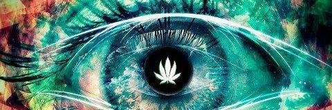 Cavknife666's profile banner image