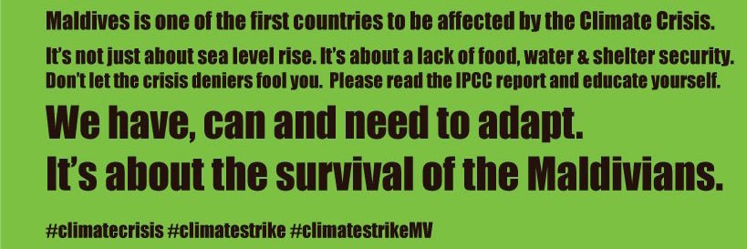 Save the Beach banner