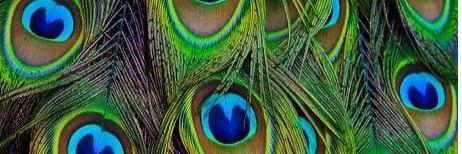 MGloria_pm's profile banner image