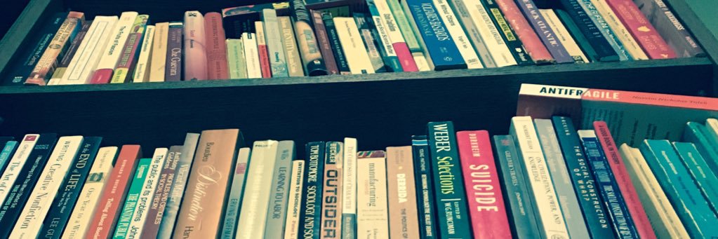 Semi-Intellectual Musings banner