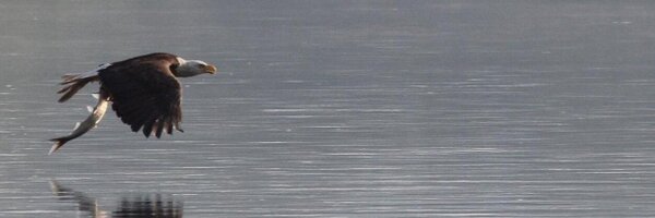 river_quest Profile Banner