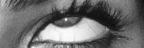Scarlettsrose's profile banner image