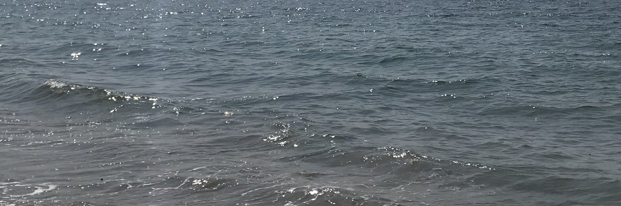 moniqueagar's profile banner image