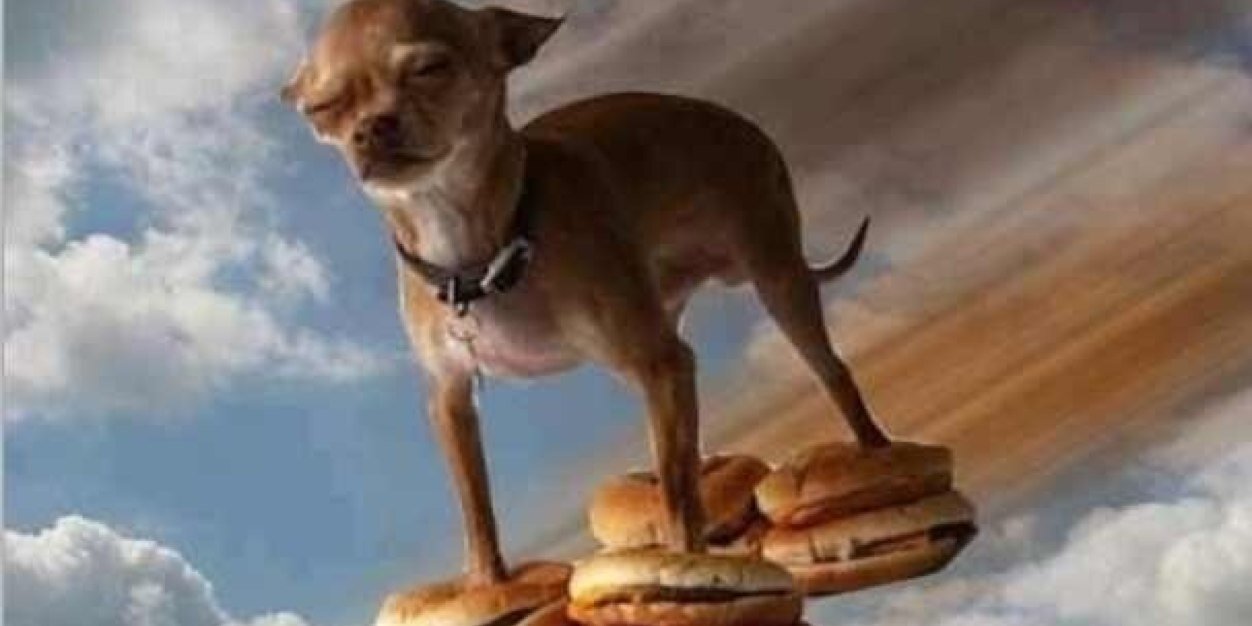 BlakeIsUgly's profile banner image