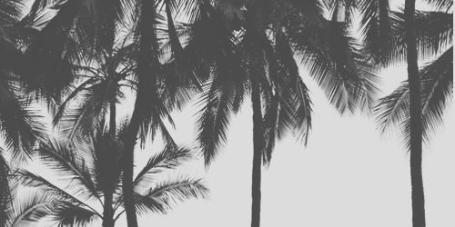 frantassic's profile banner image