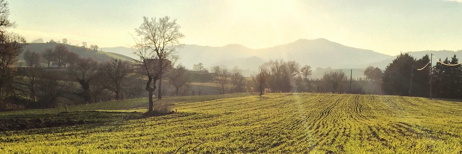 caterina moscetti banner