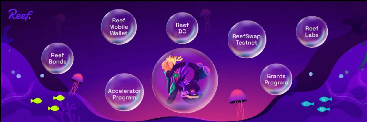 Hailmi's profile banner image