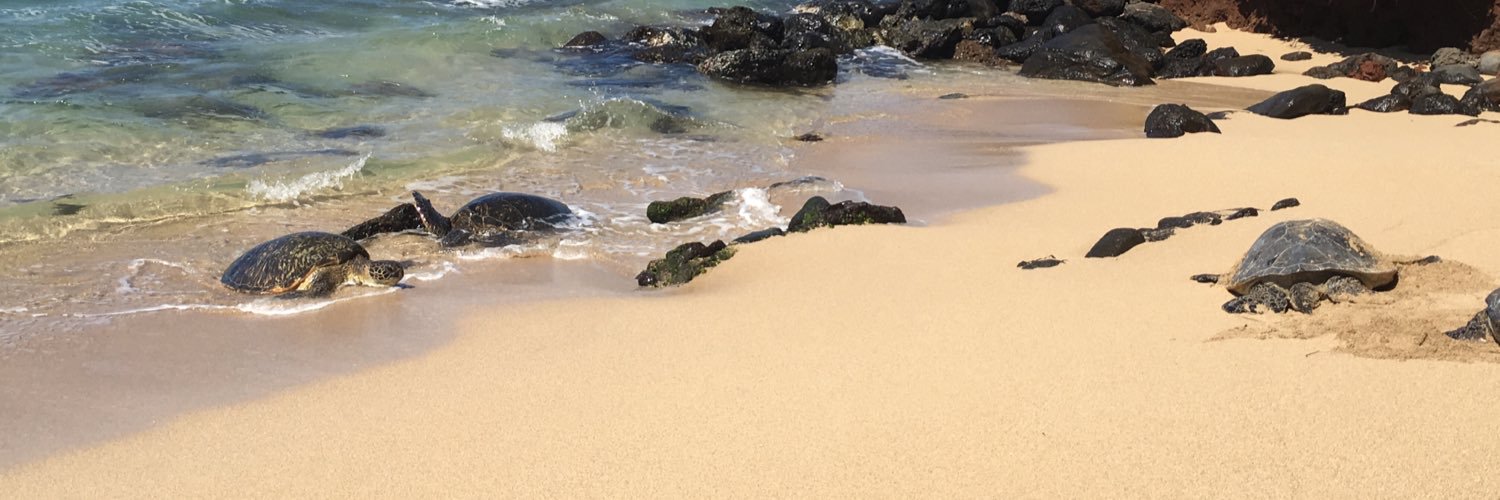 Natalie Larrison banner