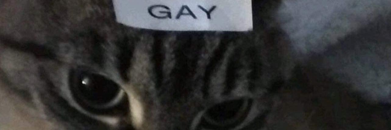 atinyworm's profile banner image