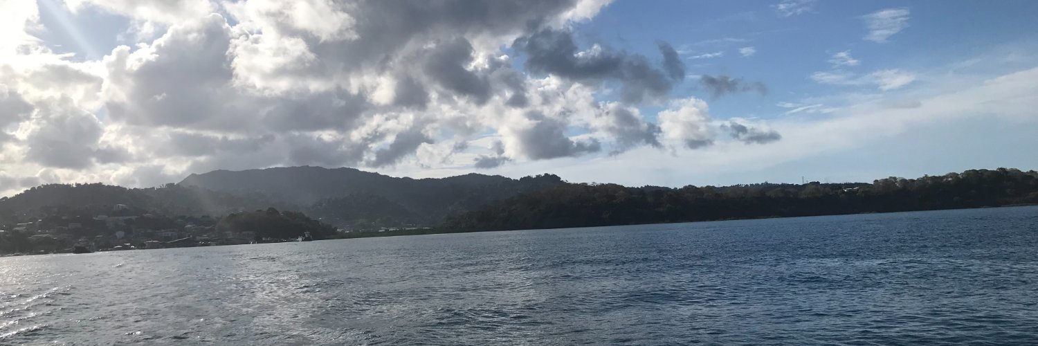 Céline Bardy banner