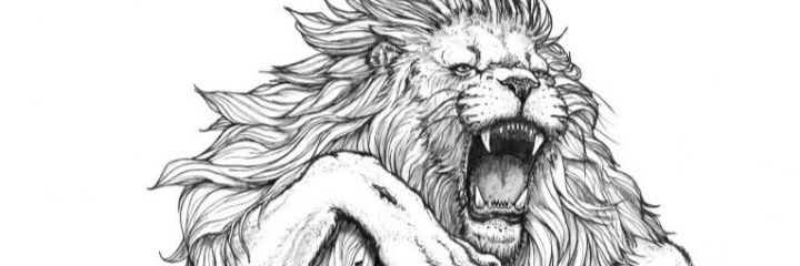 Feesoares77's profile banner image