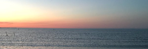 ForeverFly_ Profile Banner