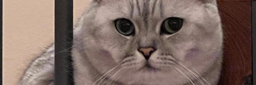 NANEW 💜 banner