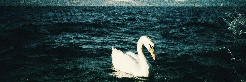 Sherry ⚡️🚀 banner