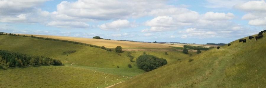 Yorkshire Wolds Way banner