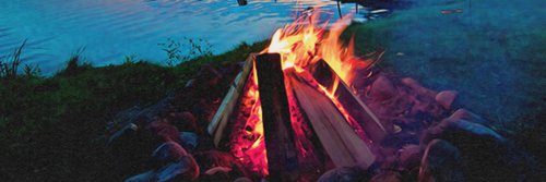 Nicole Elrond⚡️ banner