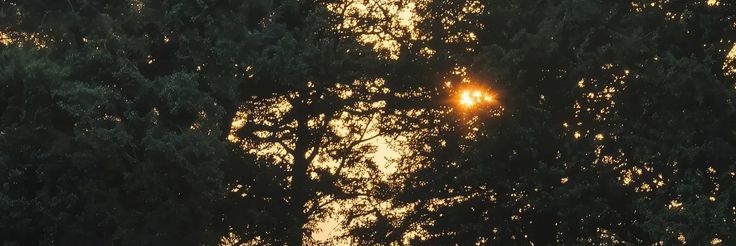blnesea_19's profile banner image