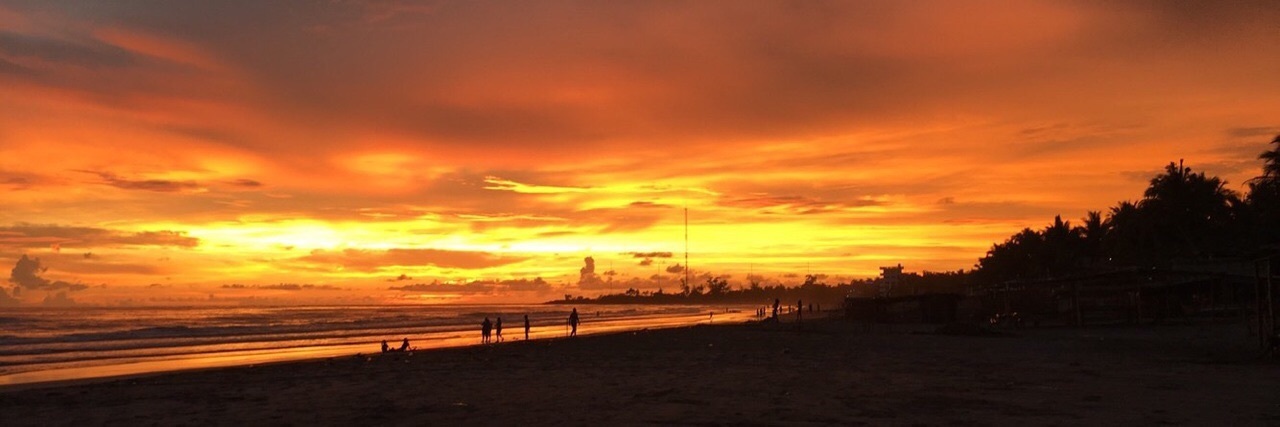 Sheila Lockhart⚡️🌱 banner