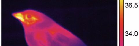 TransitionDad's profile banner image